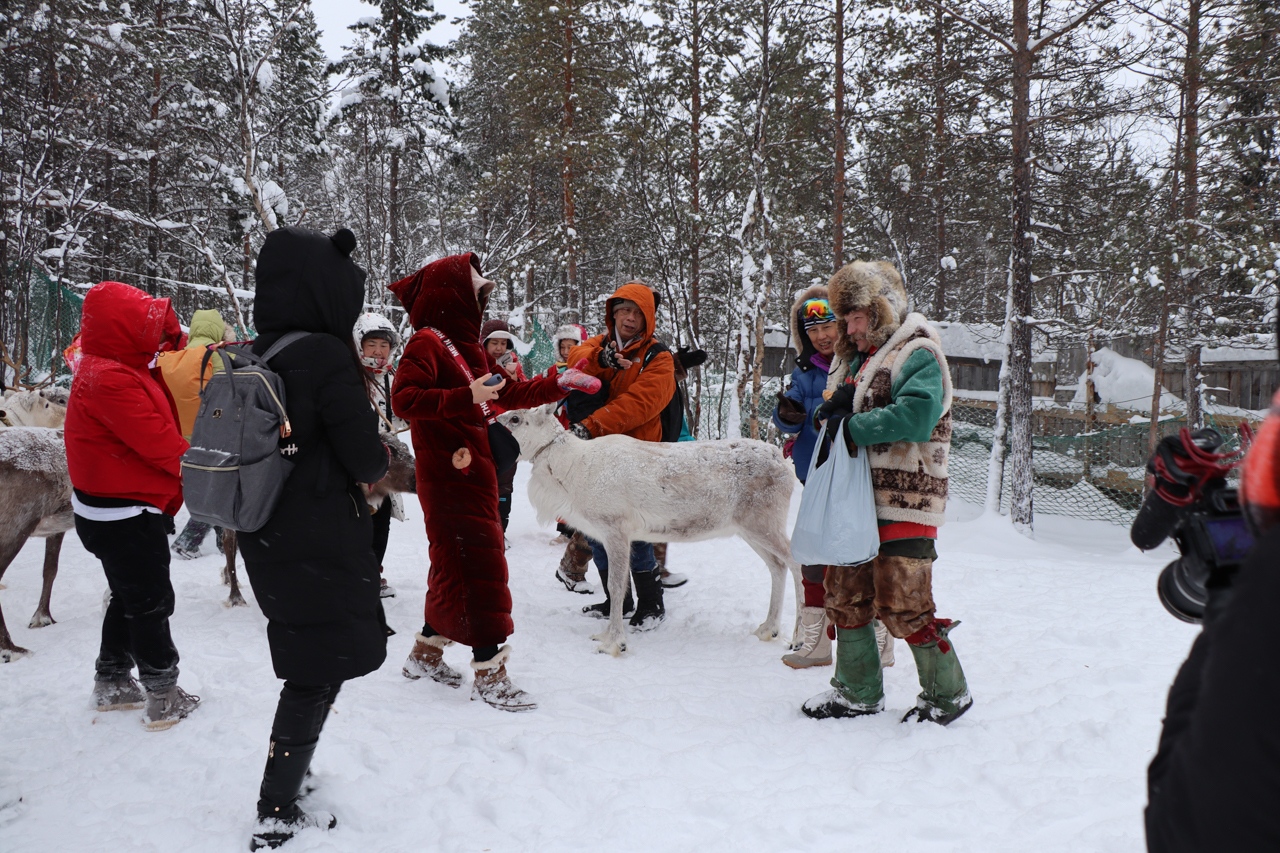 Arctic Zone - Murmansk ทริปขี่กวางล่าแสงเหนือ